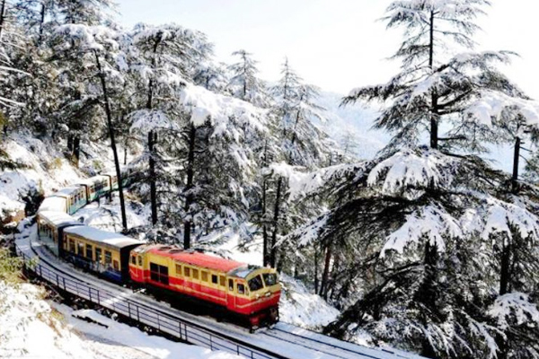 Shimla