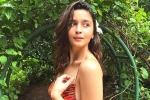 Alia Bhatt new films, NTR, finally alia bhatt to join the sets of rrr, Indian actresses