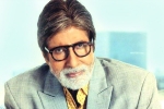 Flood Affected Maharashtra Districts, maharashtra floods, amitabh bachchan contributes to flood affected maharashtra districts, Genelia