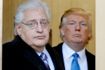 President-elect Donald Trump is planning to nominate bankruptcy attorney David Friedman as US ambassador to Israel., President-elect Donald Trump is planning to nominate bankruptcy attorney David Friedman as US ambassador to Israel., trump pick attorney david friedman as us ambassador to israel, Muslim world