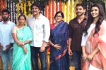 Kalyan Krishna, Bangarraju news, nagarjuna s bangarraju gets its official launch, Prequel