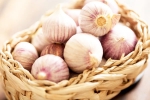 Chinese garlic banned, Chinese garlic problems, how to identify banned chinese garlic in the indian market, Producer