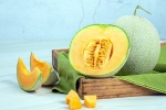 Muskmelon Seeds news, Muskmelon Seeds breaking, health benefits of muskmelon seeds, Muskmelon seeds