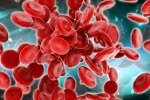 Health news, Blood Cells, scientists generate blood forming stem cells, Stem cells