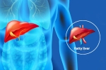 Fatty Liver Disease News breaking, Fatty Liver Disease News, body organs that can be affected by fatty liver disease, Fatty liver disease news