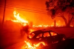 California Wildfire updates, California Wildfire latest, california declares wildfire emergency, Hollywood