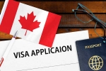 Canada Vs India Visa rule changed, Canada Vs India Visa rule latest, canada reduces tourist visas issued to indians, 380 11