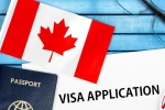 Canada's study visa approvals, Canada's study visa approvals for students of India, canada s study visa approvals for indian students to drop by 50 in 2024, Spokesman