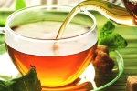 chamomile tea, herbs, is consuming tea linked to immunity, Herbal teas