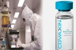 Covaxin India, Covaxin India, covaxin india s 1st covid 19 vaccine to get approval for human trials, Rotavirus