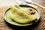 Curry Leaves Dosa latest, Curry Leaves Dosa preparation, recipe curry leaves dosa, Transfer