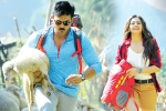 Surendar Reddy, Rakul Preet Singh, dhruva turns first million dollar film for charan, Usa market