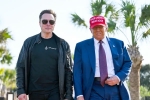 Donald Trump latest, Elon Musk, donald trump finally addresses rumors about elon musk, Arizona