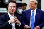 Elon Musk and Donald Trump breaking, USA, elon musk s big bet on donald trump, Investor