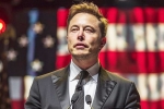 Donald Trump, Elon Musk, is elon musk in the trump cabinet, Matrix