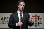 step down, firm, facebook ceo refuses to quit amid pressure from investors, Mark zuckeberg