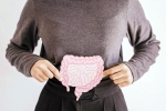 Gut Vs Skin breaking, Gut Vs Skin latest breaking, your gut decides about your skin, Gut health