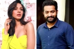 Pooja Hegde, Pooja Hegde, kiara advani to romance ntr, Ntr and trivikram