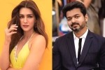 Kriti Sanon news, Kriti Sanon South film, kriti sanon to romance vijay in his next, 1 nenokkadine