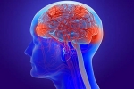 Coronavirus brain news, Coronavirus latest news, coronavirus can cause long term loss of brain tissue, Fda