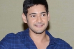 Mahesh Babu new movie, Mahesh Babu latest, mahesh babu s next updates, Bharat anu nenu