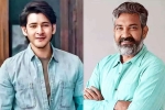 Mahesh Babu, Mahesh Babu and Rajamouli Film, interesting updates about mahesh babu and rajamouli film, C k prasad