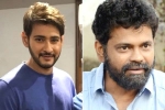 Mahesh Babu next, Mahesh Babu new film, mahesh babu shelves sukumar s project, 1 nenokkadine