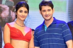 Pooja Hegde and Mahesh Babu, Pooja Hegde and Mahesh Babu, mahesh babu all set to romance pooja hegde again, Maharshi