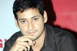 Mythri Movie Makers, Mahesh Babu, mahesh reveals his next projects, Newyear