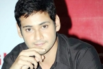 Mahesh Babu news, Mahesh Babu updates, mahesh out of summer race, Sambhavami