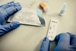 Prototype Vaccine, Coronavirus, monkeys get protection against coronavirus through a prototype vaccine, Prototype vaccine