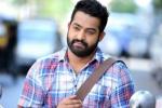 NTR next film, NTR updates, official ntr s next film locked, Sardar gabbar singh