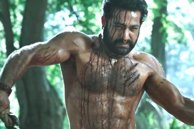 Ramaraju for Bheem: NTR&#039;s Deadly Transformation as Komaram Bheem