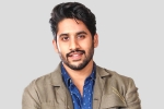 Sekhar Kammula, Naga Chaitanya new film, interesting title for naga chaitanya s next, Majili