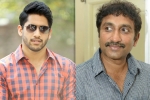 Naga Chaitanya, Naga Chaitanya next movie, naga chaitanya to work with srinu vaitla, Mister