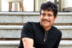 Nagarjuna next film, Nagarjuna new projects, nagarjuna s 100th film will be a multi starrer, Wild dog