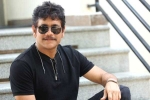 Nagarjuna updates, Nagarjuna 100th film, nagarjuna s 100th film locked, Bangarraju