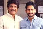 Nagarjuna twitter, Nagarjuna about Chay divorce, nagarjuna s clarification on naga chaitanya s divorce, Nagarjuna akkineni