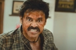 Narappa trailer, Narappa date, venky s narappa trailer talk, Sreekanth addala