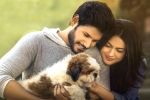 Ninu Veedani Needanu Nene movie review, Ninu Veedani Needanu Nene telugu movie review, ninu veedani needanu nene movie review rating story cast and crew, Hunting