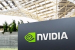 Markets volatility, Pawan Bharaddia, nvidia suffers a record of billions loss, Indian market