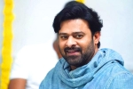 Jaan, Jaan, prabhas jaan delayed further, Weightloss