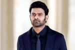 Maruthi, Maruthi, new updates of prabhas and maruthi film, Malavika mohanan