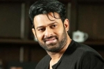 Prabhas latest, Nag Ashwin, prabhas to join project k from november, C ashwini dutt