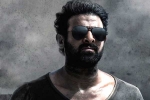 Prabhas six pack look, Prabhas new movies, prabhas to showcase his abs in salaar, Six pack