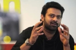 Prabhas and Sree Leela, Prabhas and Malavika Mohanan, two young beauties in talks for prabhas next, Pelli sandad