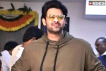 Radhe Shyam movie, Prabhas movie title, title finalized for prabhas20, Prabhas20