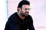 Prabhas25 breaking news, Sandeep Vanga, prabhas to offer a new treat for his fans, Prabhas25