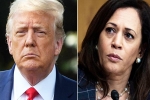 Kamala Harris, Amy Tripp wealth, astrologer predictions about the new us president, By election campaign