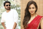 Rakul Preet Singh new film, Rakul Preet Singh news, rakul rejects pawan s film, Katamrayudu